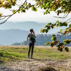 Sommerliche Gefühle im Herbst