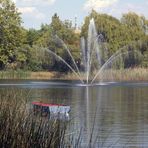 Sommerliche Idylle am Speyerer Russenweiher