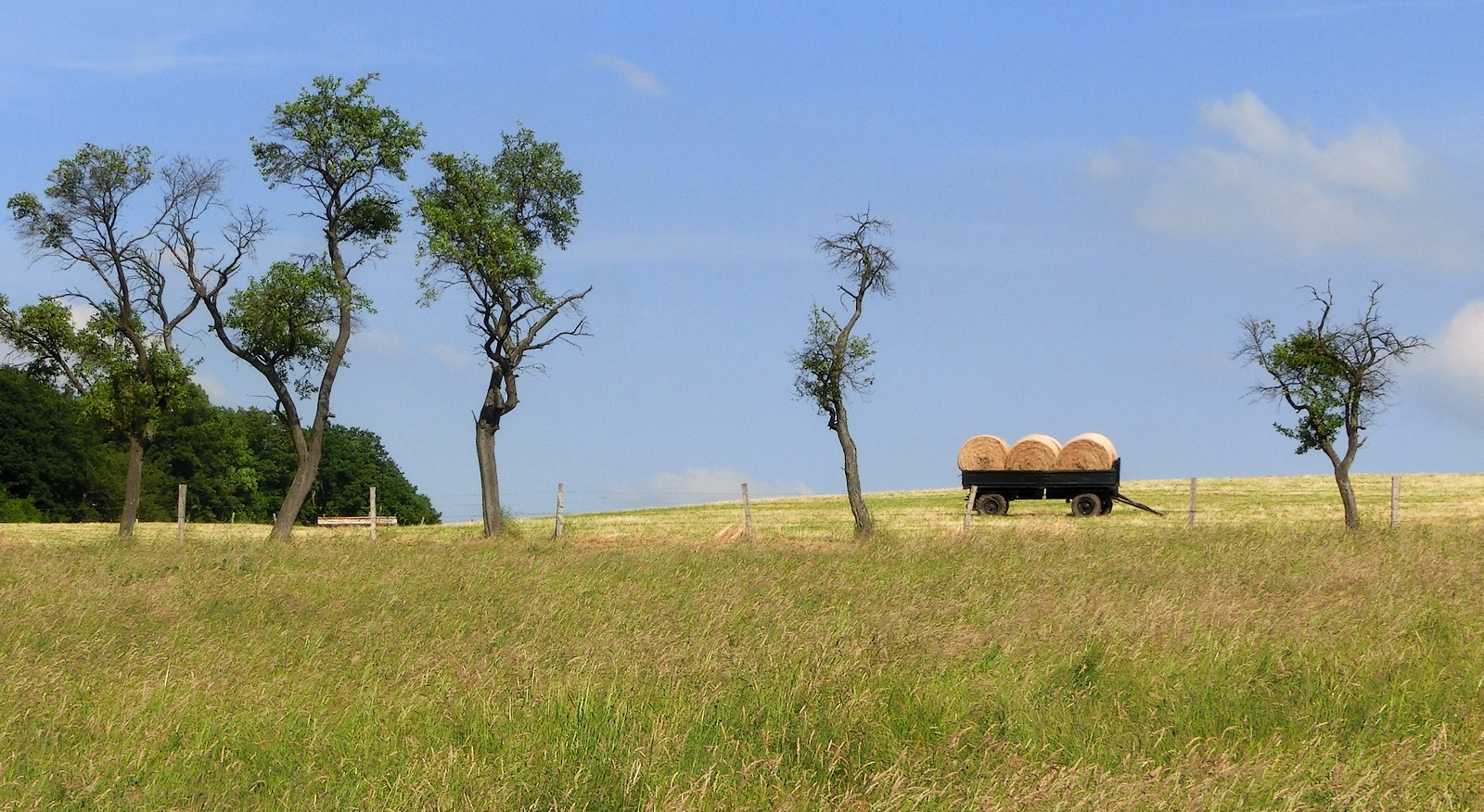 Sommerliche Impression