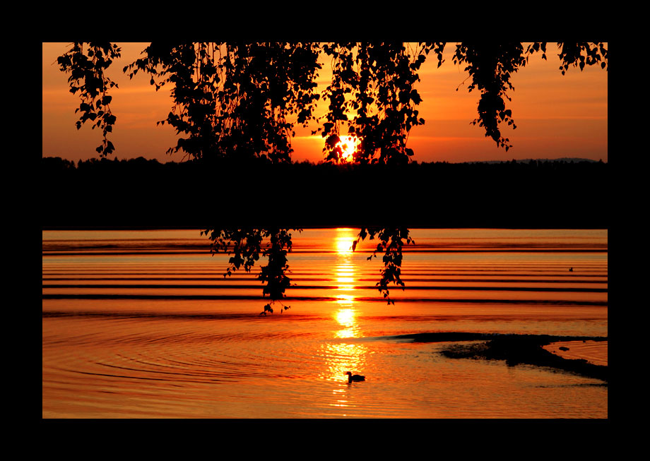 Sommerliche Landschaft