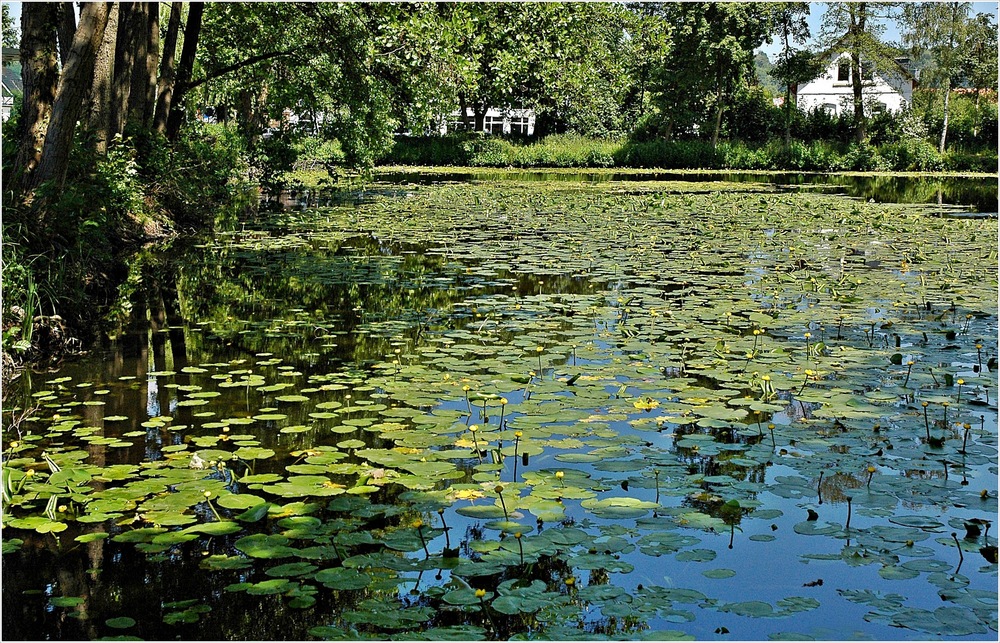 sommerliche Mittagsruhe Foto & Bild natur, see, landschaft Bilder auf