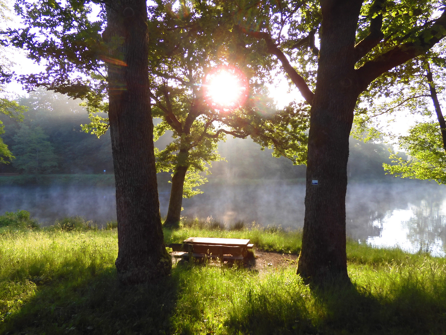 Sommerliche Morgenstimmung