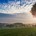 Sommerliche Morgenstimmung im Hoppecketal