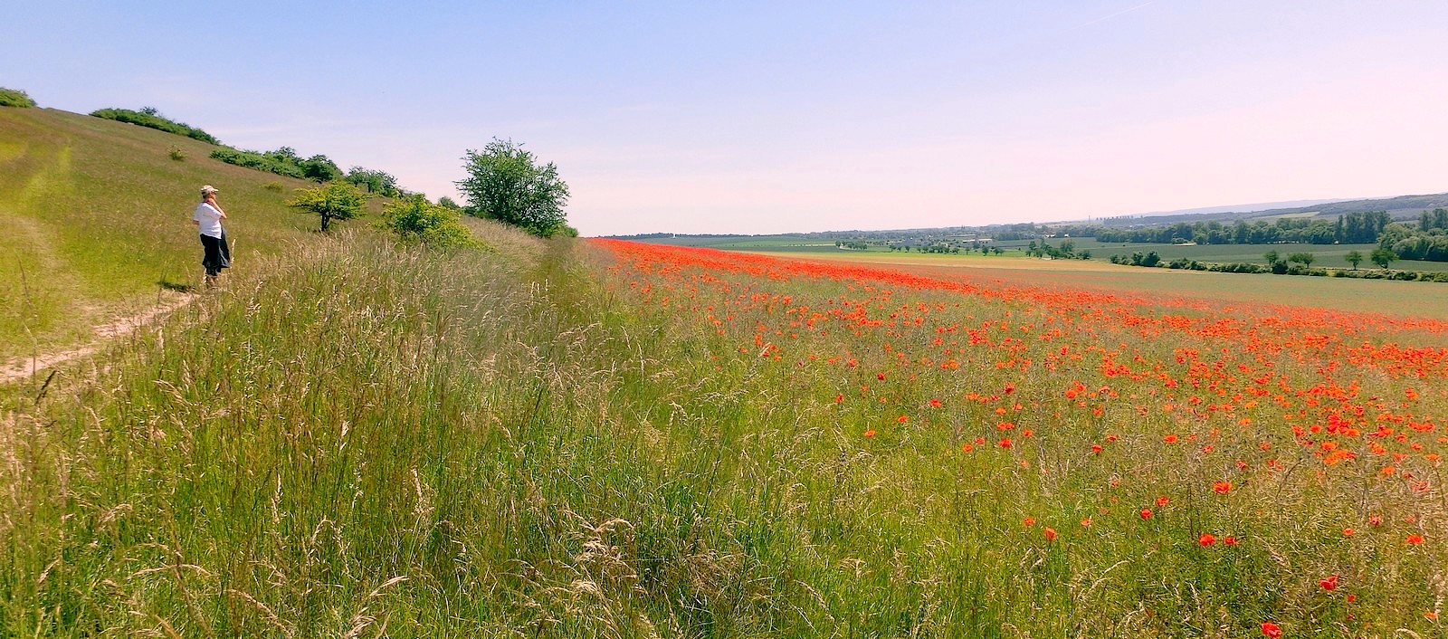 Sommerliche Perspektive