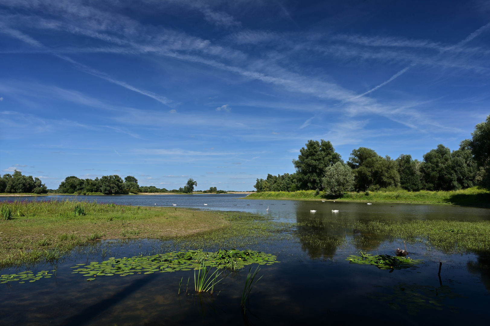 Sommerliche Ruhe zum blauen Montag