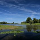 Sommerliche Ruhe zum blauen Montag