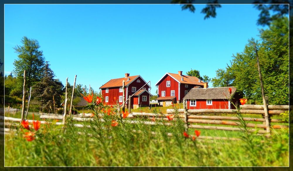 Sommerliche Schweden-Idylle