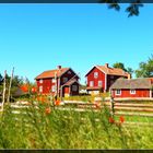 Sommerliche Schweden-Idylle