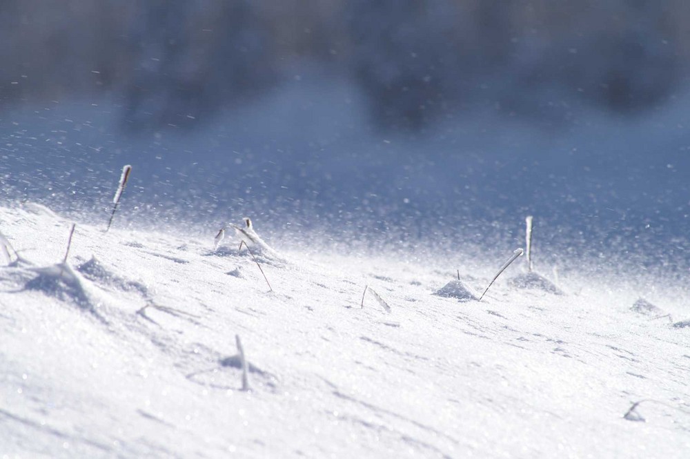 Sommerliche Sehnsucht nach Schnee