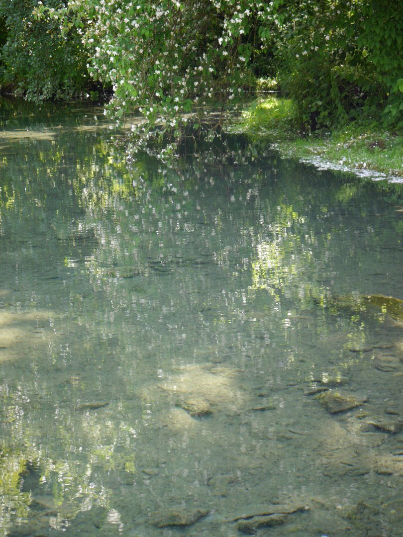 Sommerliche Spiegelung - An der Lauterquelle