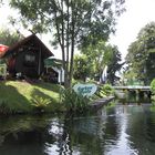 Sommerliche Stille im Spreewald