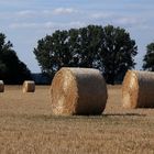 Sommerliche Strohballen