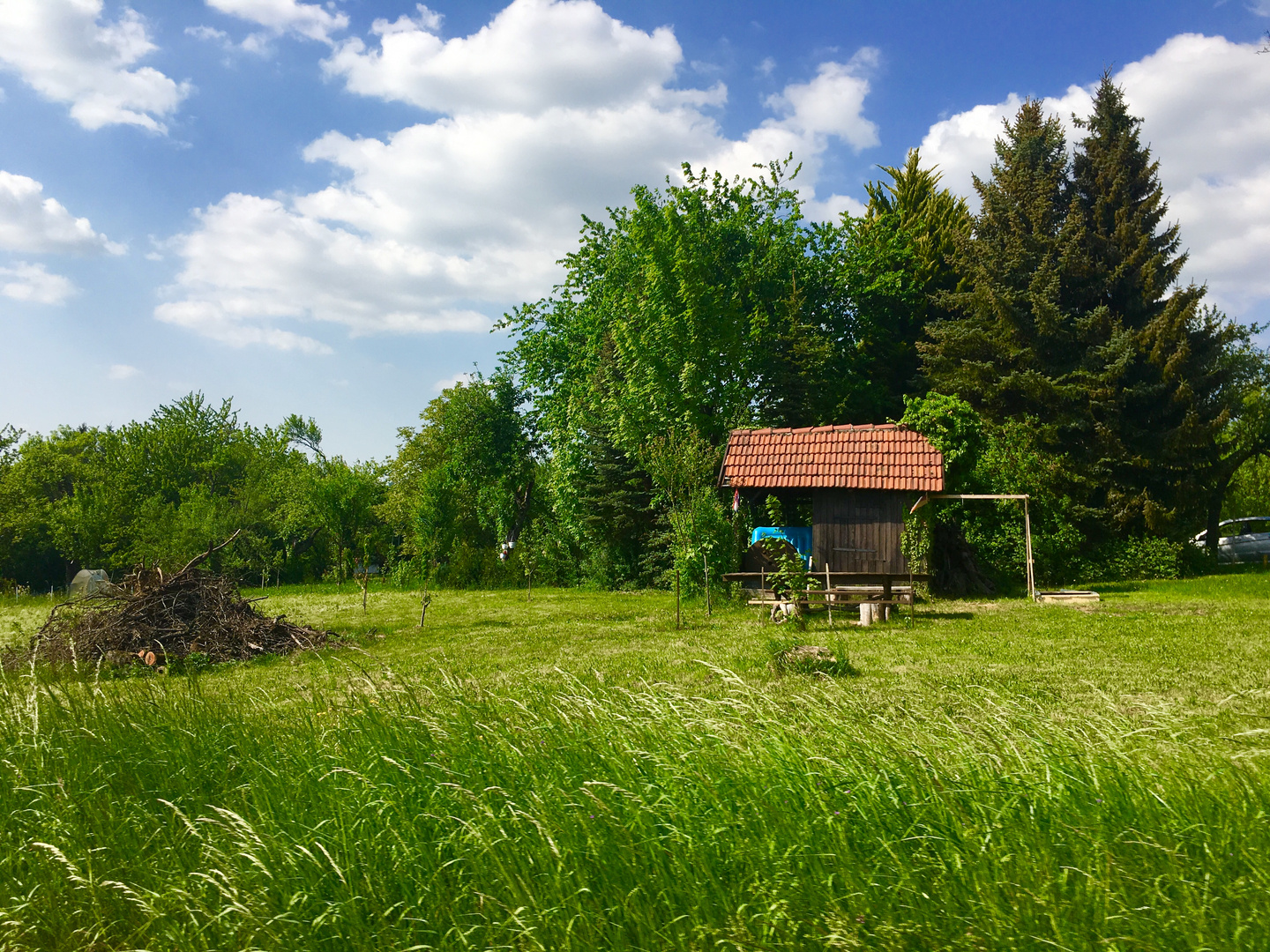 Sommerliche Temperaturen und Natur pur