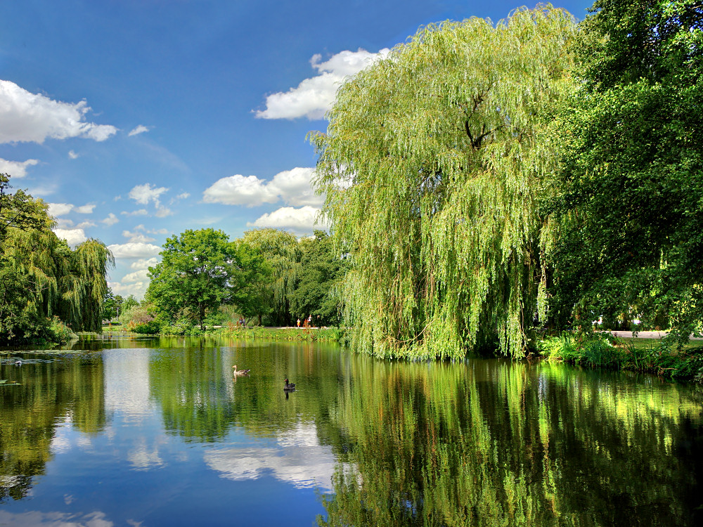 Sommerlicher Alsterpark