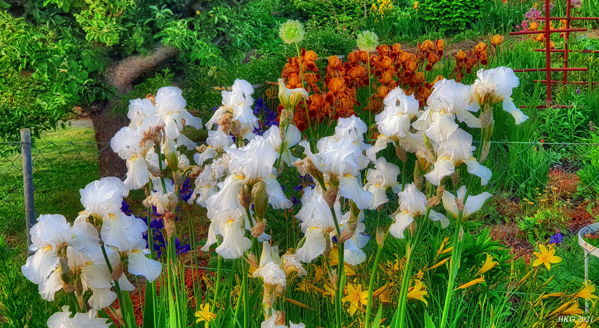 Sommerlicher Blütenzauber