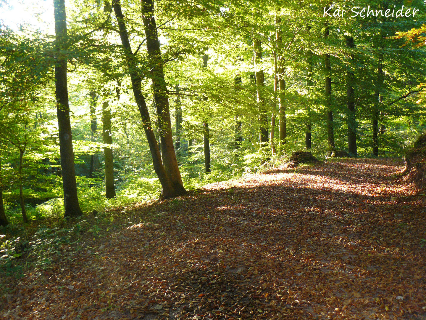 Sommerlicher Herbst