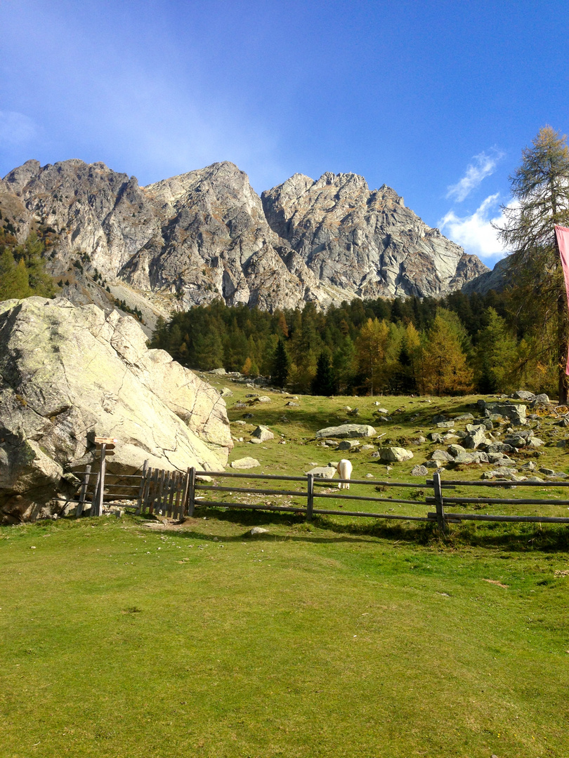 sommerlicher Herbst in Südtirol