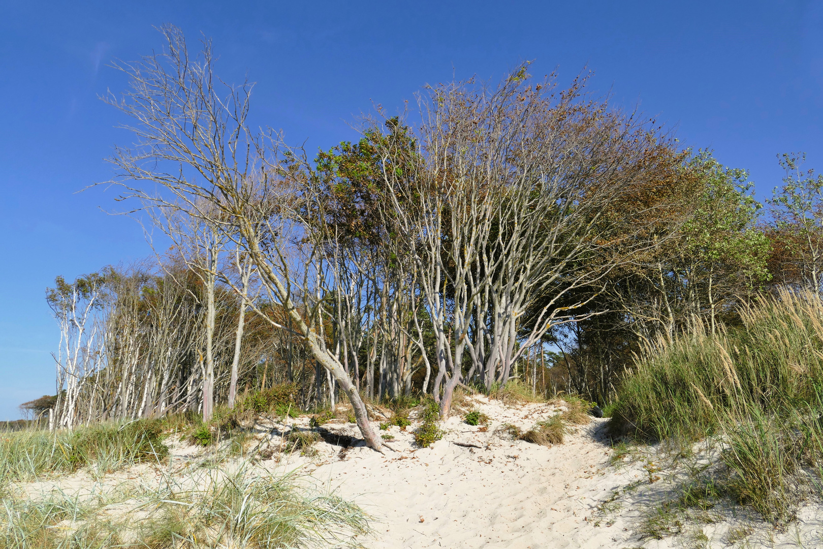 sommerlicher Herbsttag