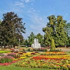 Sommerlicher Küchengarten am Rande der Orangerie in Gera