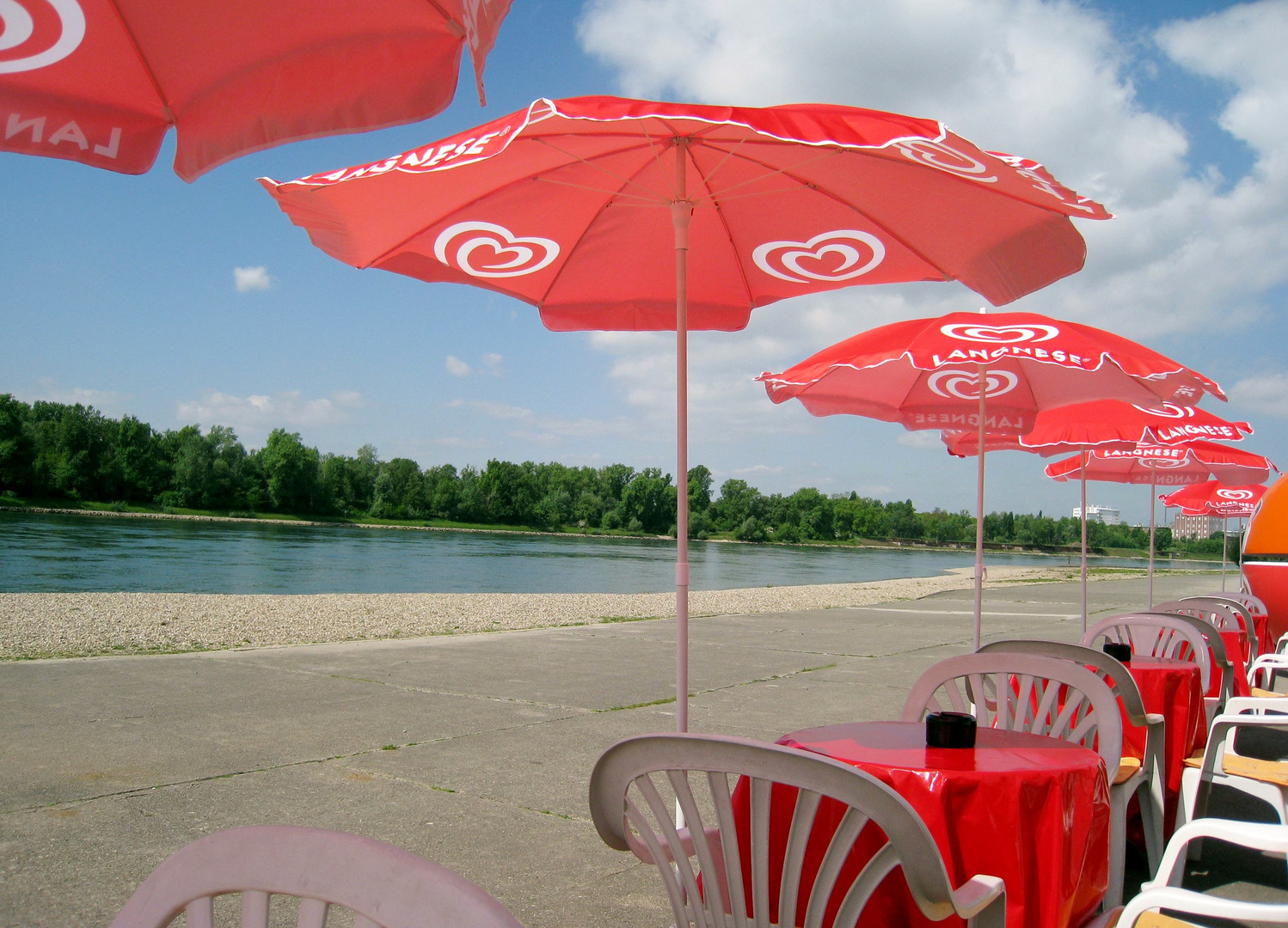 Sommerlicher Rhein