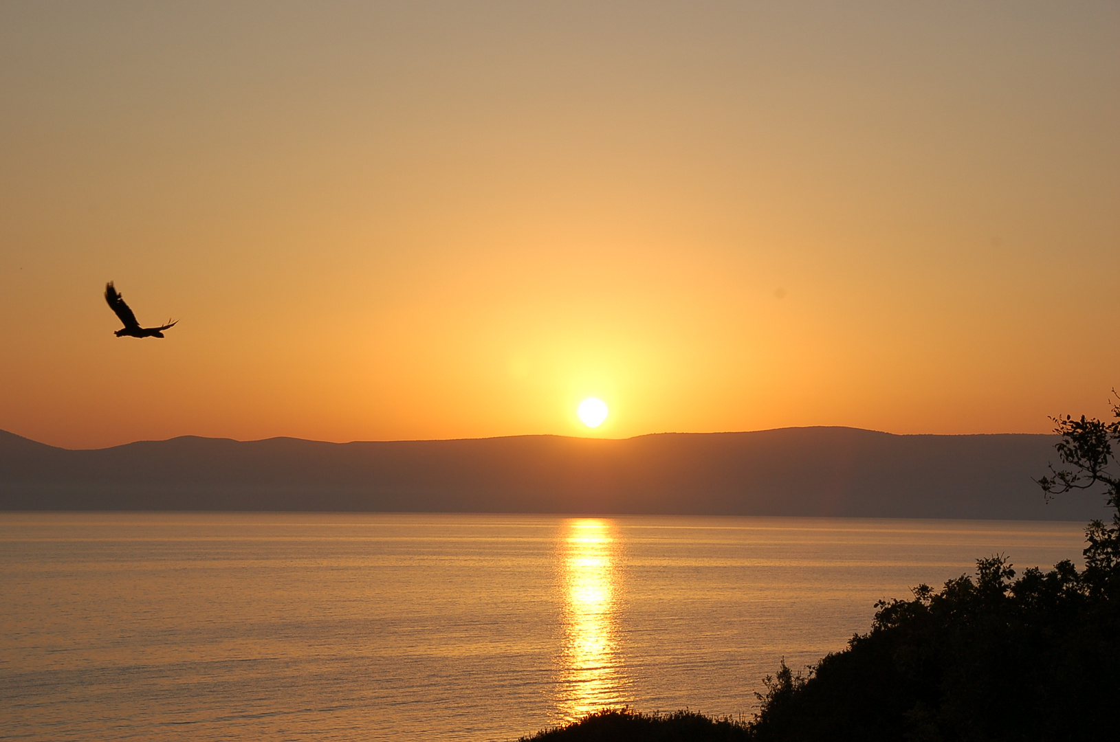 sommerlicher Sonnenaufgang