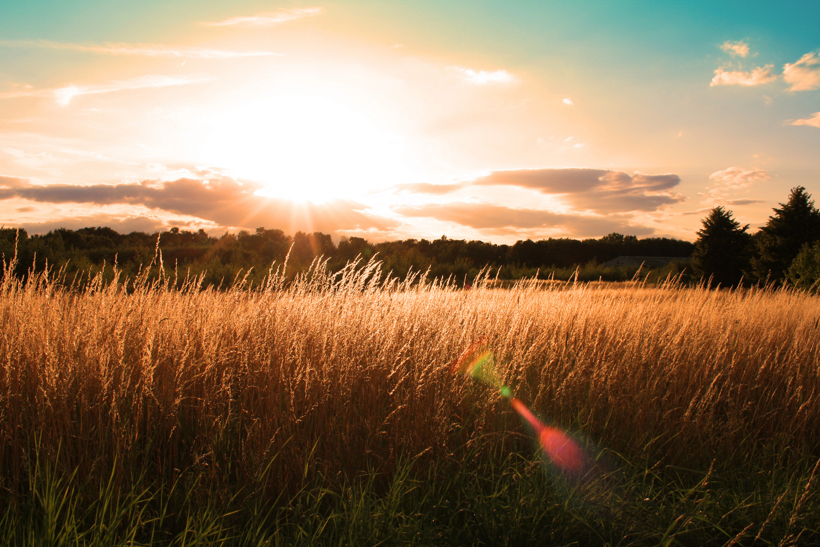 Sommerlicher Sonnenuntergang