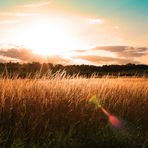 Sommerlicher Sonnenuntergang