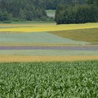 Sommerliches Aquarell der Landwirte