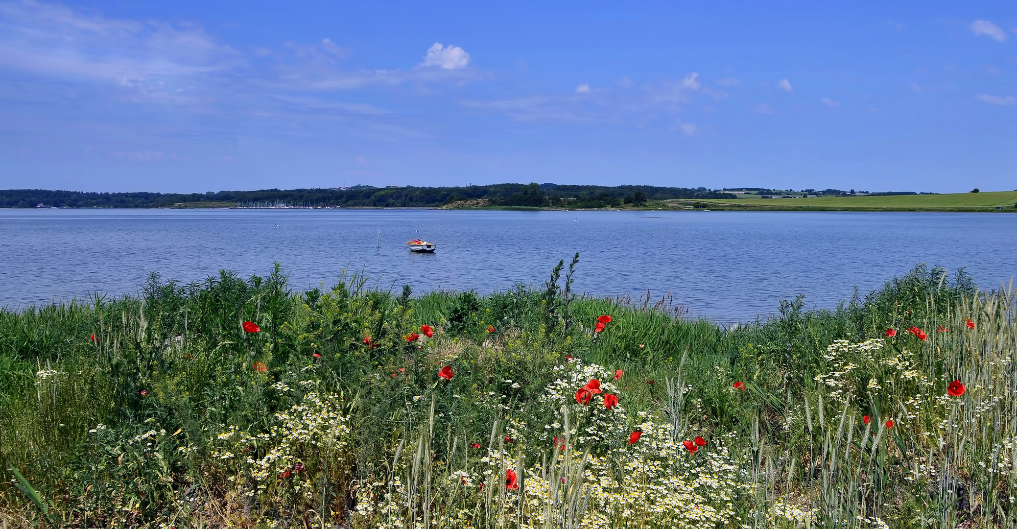 °Sommerliches Dänemark° Foto &amp; Bild | landschaft, sonne, himmel Bilder ...
