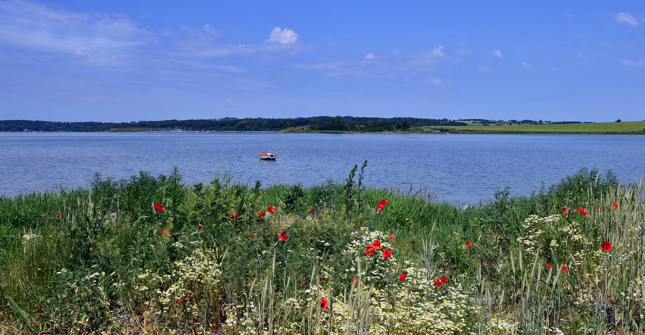 °Sommerliches Dänemark°