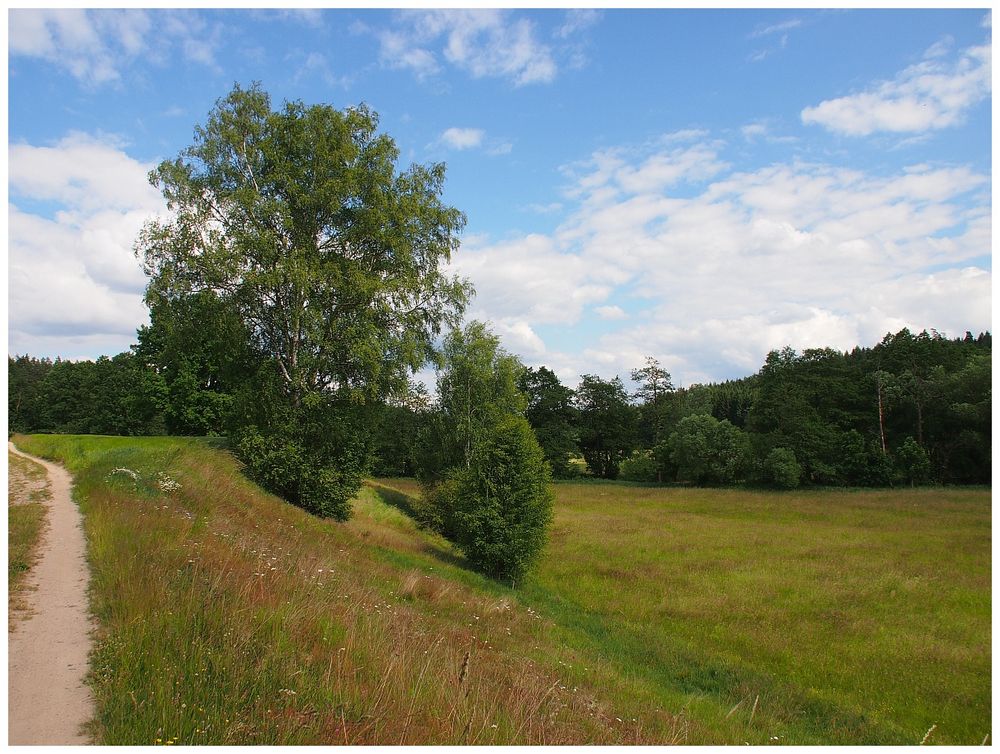 Sommerliches Egertal