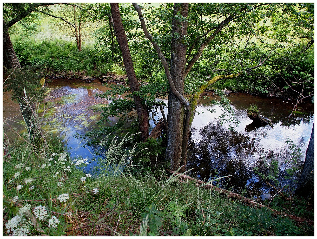 Sommerliches Egertal