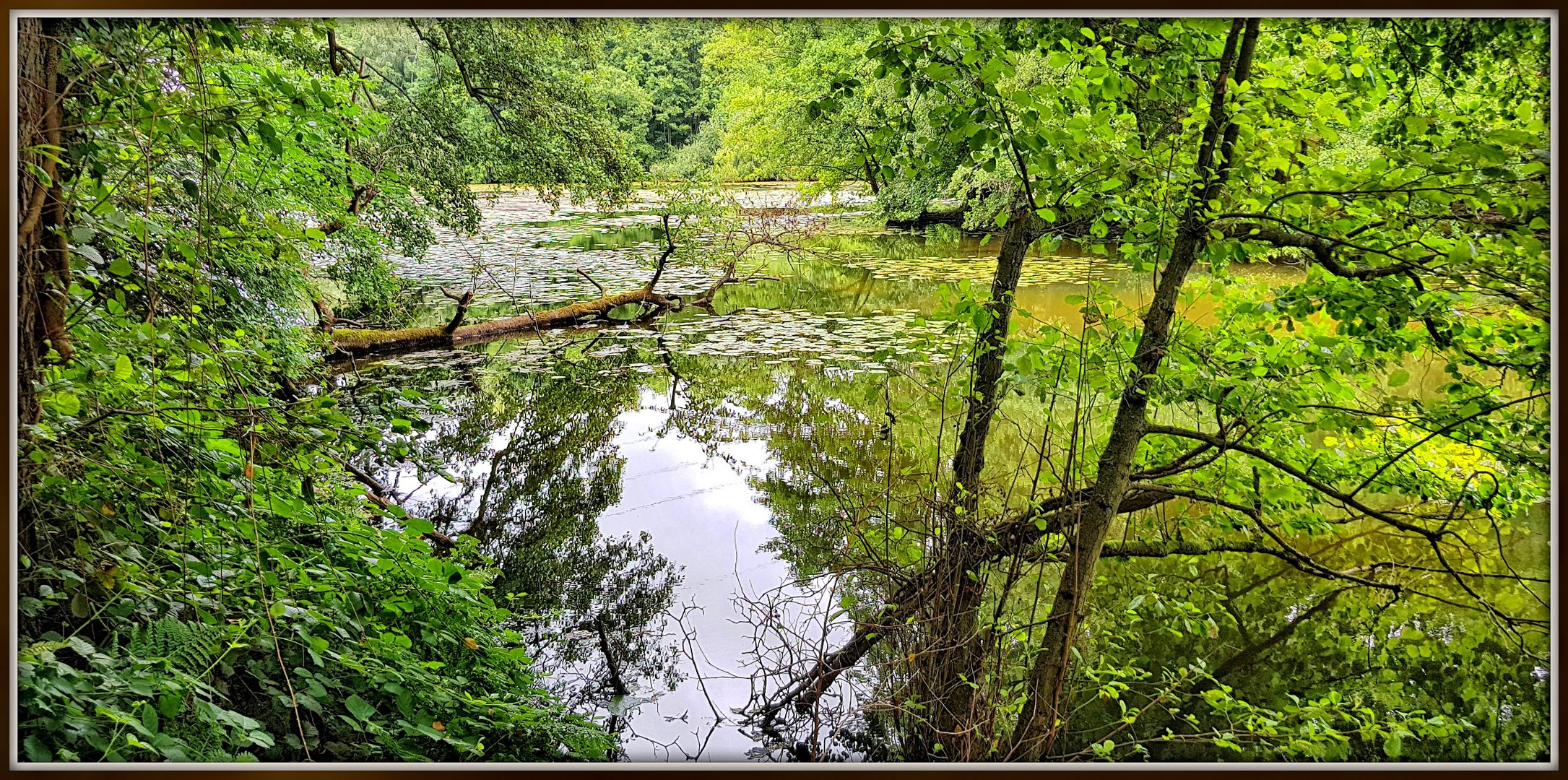 Sommerliches Grün