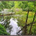 Sommerliches Grün