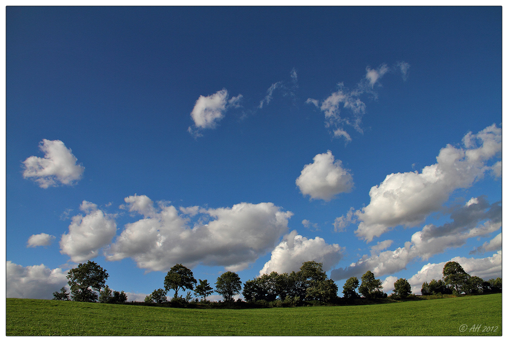 sommerliches Intermezzo