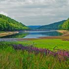 sommerliches Niedrigwasser an unserer Talsperre