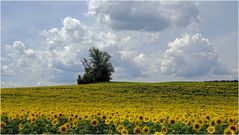 sommerliches Oberbayern