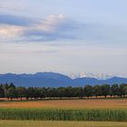 Sommerliches Oberbayern