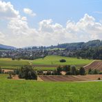 Sommerliches Pfeffingen (Kt.BL)