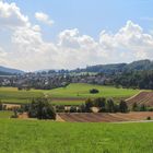 Sommerliches Pfeffingen (Kt.BL)