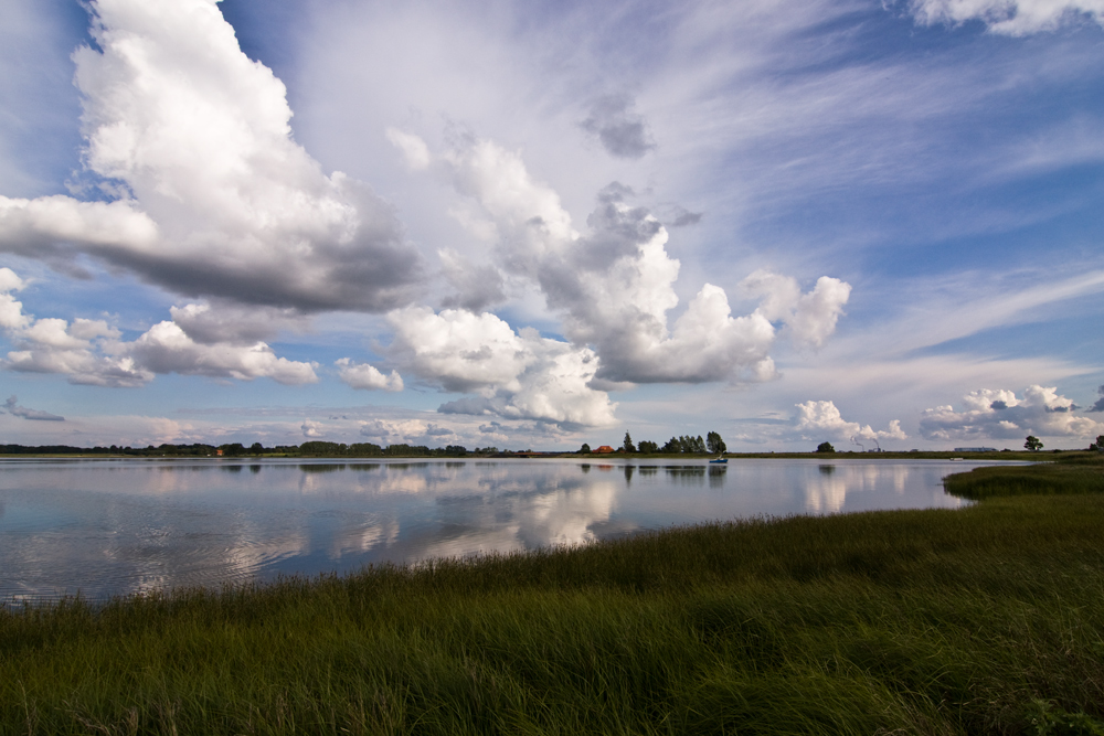 sommerliches poel