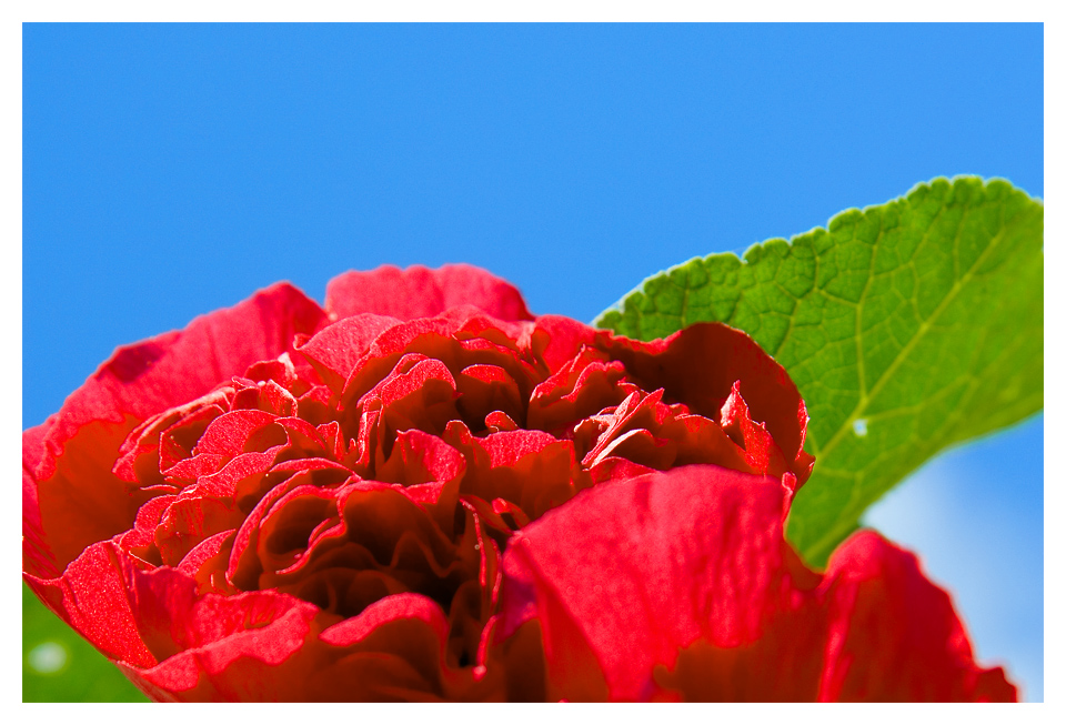 Sommerliches Rot Grün Blau