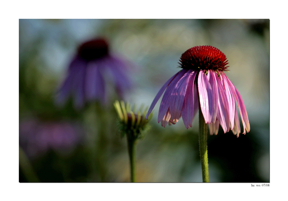 Sommerliches Spiel mit Farben...........