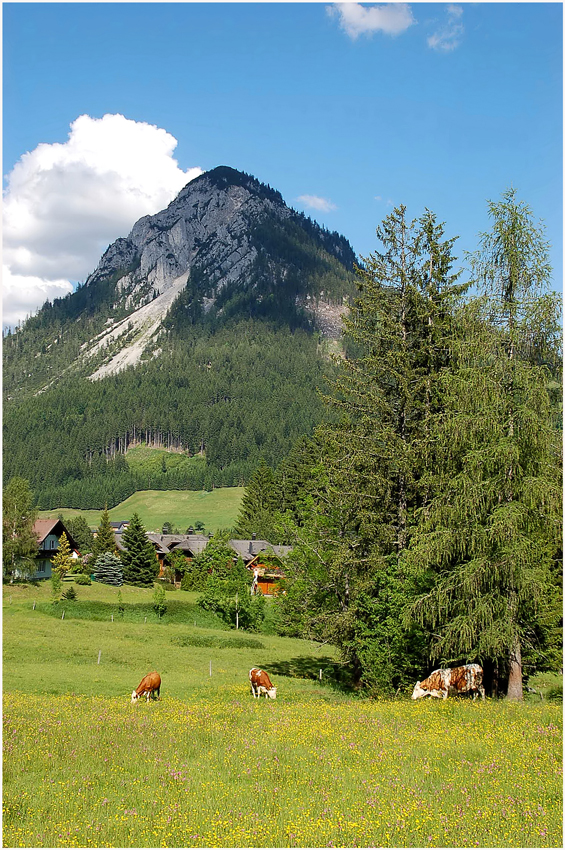 Sommerliches Tauplitz