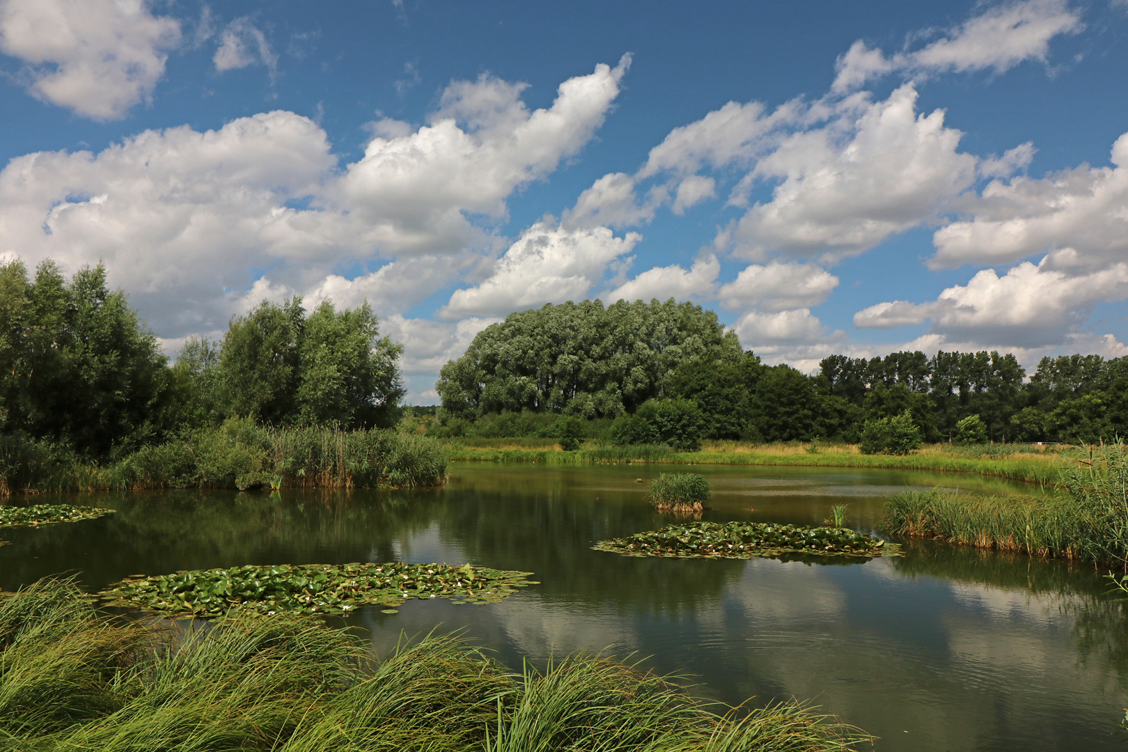 Sommerliches Wolkenspiel