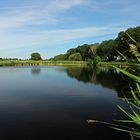 Sommerlicht am Teich