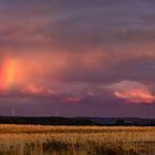 Sommerlichter am Abend