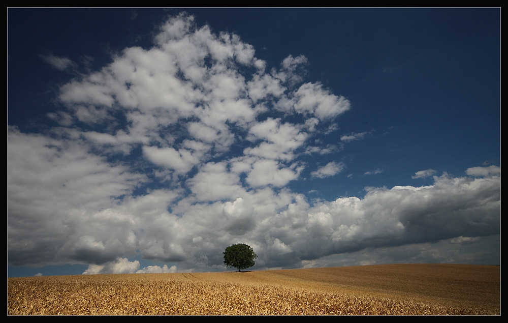 Sommerliebe