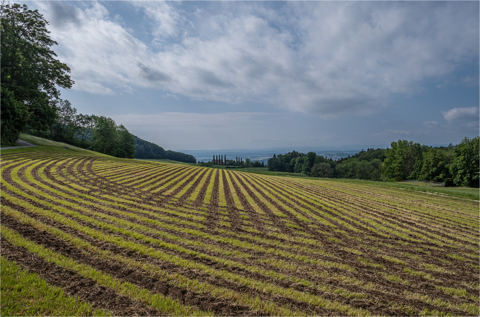 * SOMMERLINIEN *