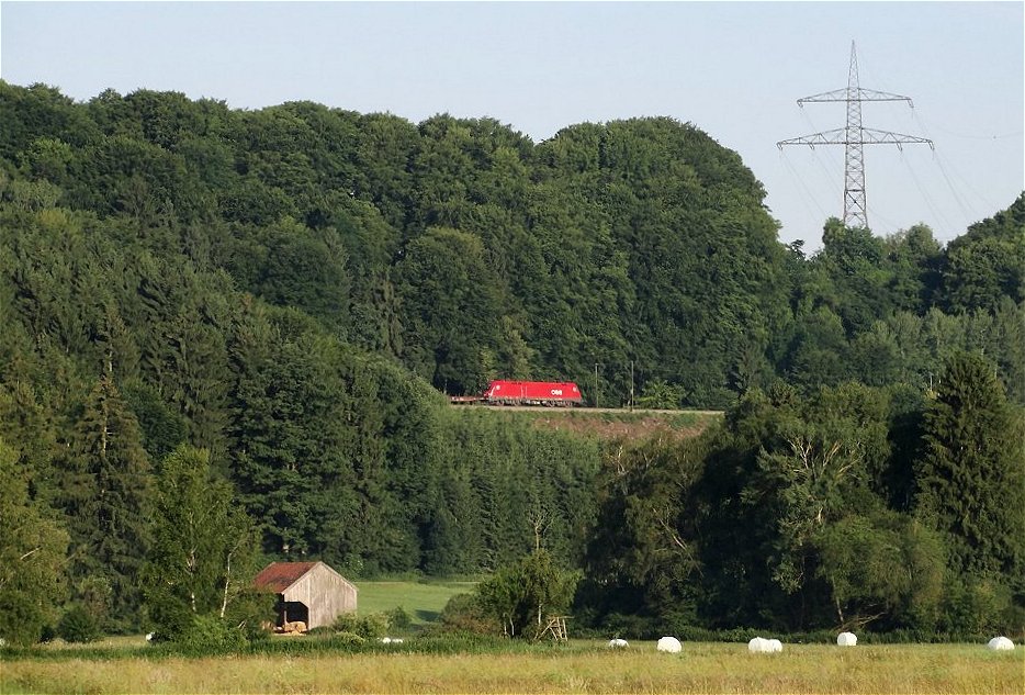 Sommermärchen - erste Mahd